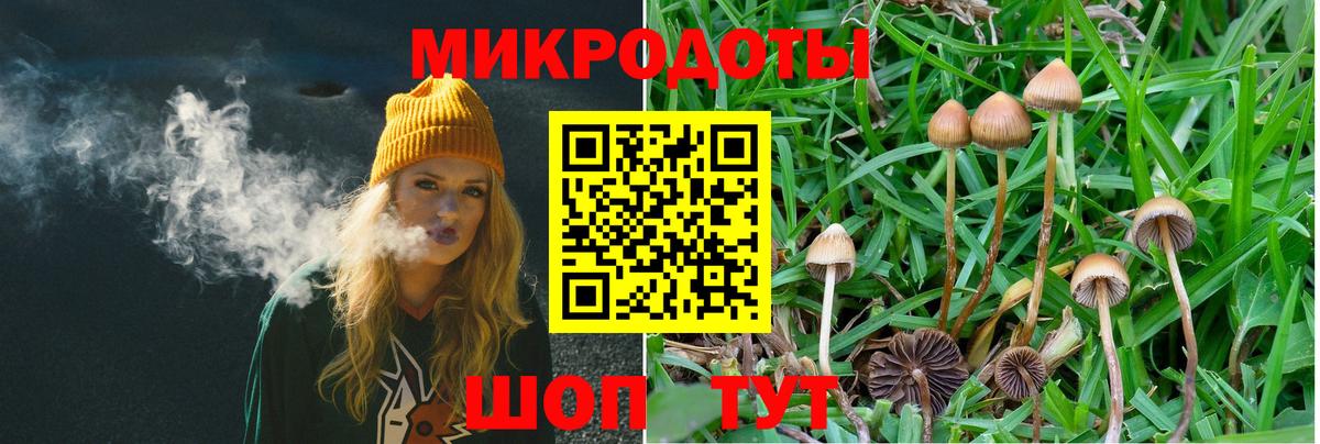 даркнет сайт  Вход с VPN  Лабытнанги  Галлюциногенные грибы мухоморы 