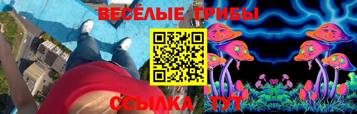 Галлюциногенные грибы мицелий Лабытнанги